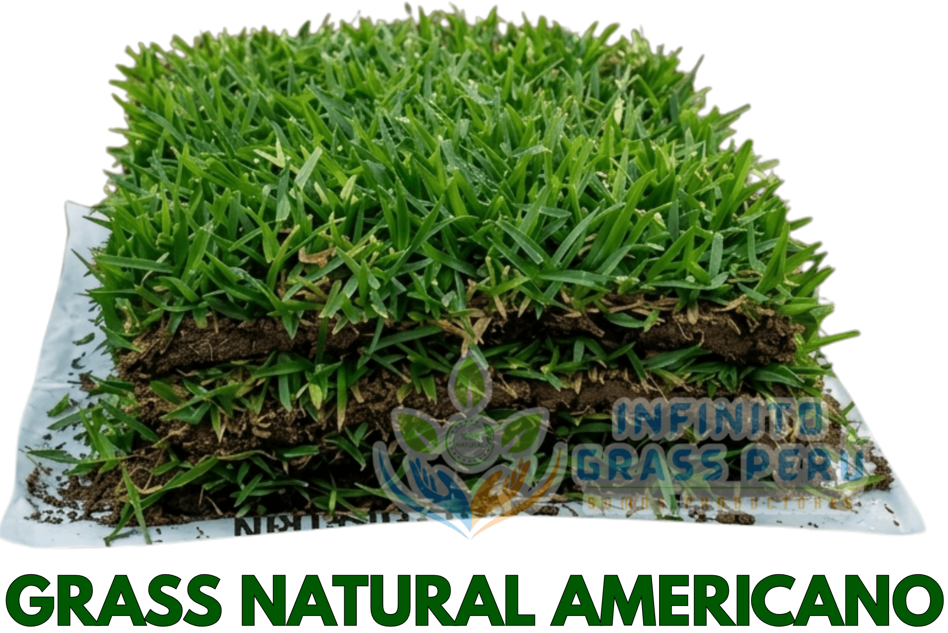 C&eacute;sped natural americano en Lima